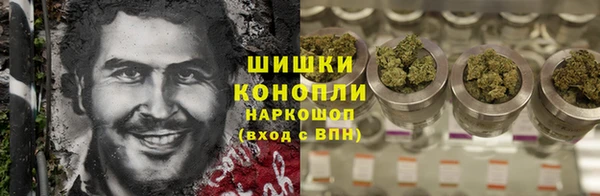 стаф Магас