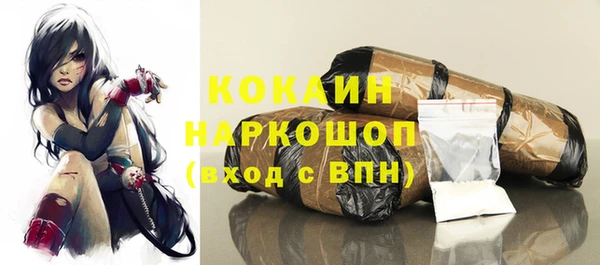 стаф Магас