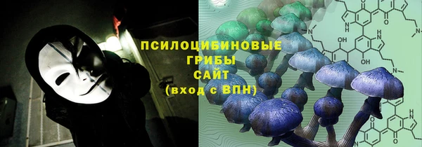 стаф Магас