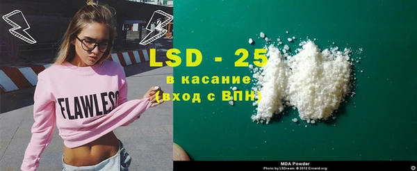 стаф Магас