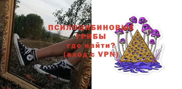 стаф Магас