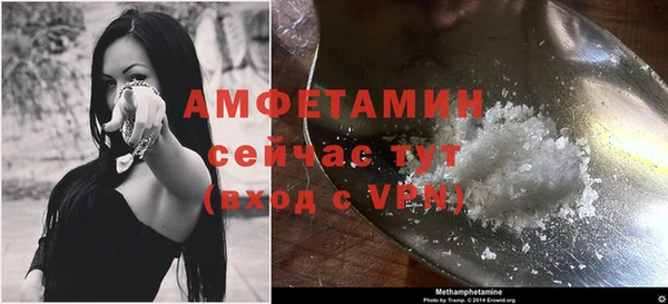 стаф Магас
