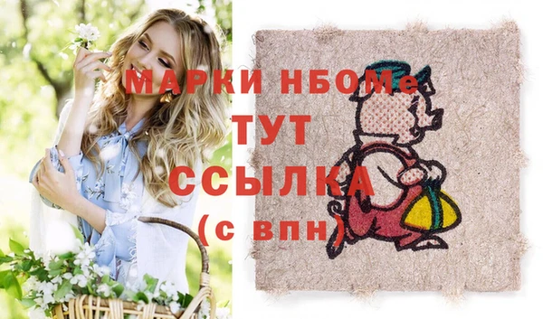 стаф Магас