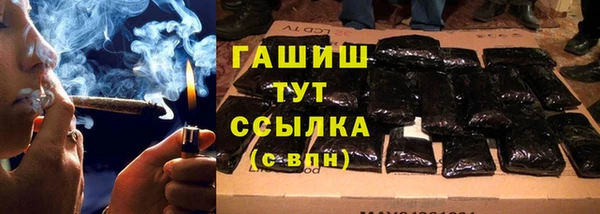 стаф Магас