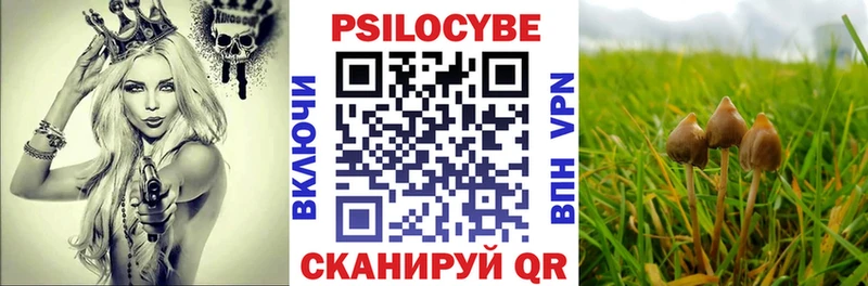 Купить закладки  Облучье  Галлюциногенные грибы ЛСД 